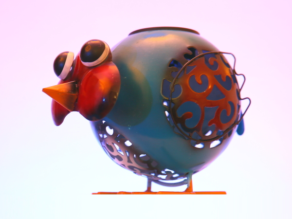 (Frequently Asked Questions) We assume female arousal works differently to male arousal because most women…