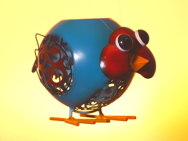 (Frequently Asked Questions) Men are aroused by erotic stimuli (anatomy, fantasies and sexual opportunities) regardless…