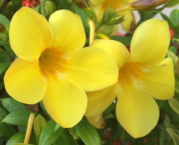 (Frequently Asked Questions) The fact that female orgasm experts exist is evidence that female orgasm…