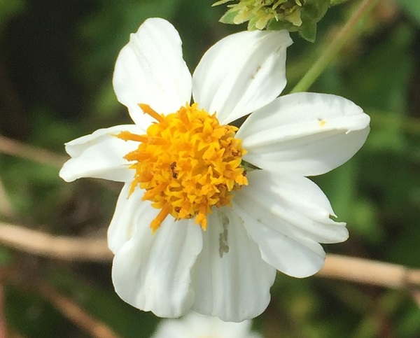 (Frequently Asked Questions) Most women offer intercourse to a man they love. Why is the… (Frequently Asked Questions) Most women offer intercourse to a man they love. Why is the…