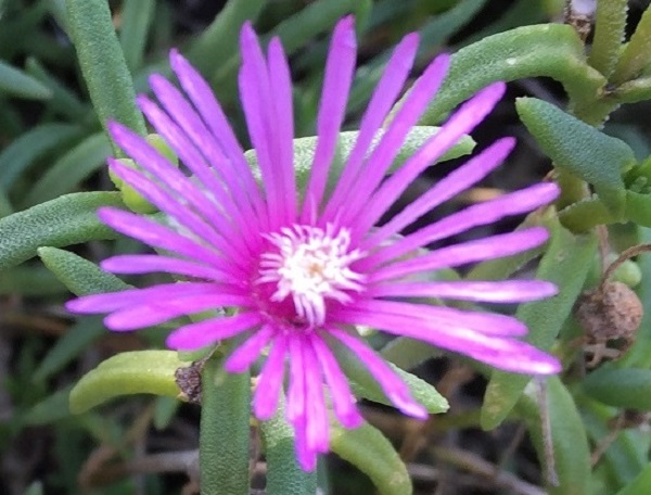 (Frequently Asked Questions) If women experienced orgasms with a lover, surely the erotic turn-ons and…