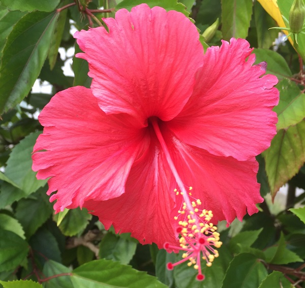 (Frequently Asked Questions) If female orgasm were common, surely every woman would be an orgasm…