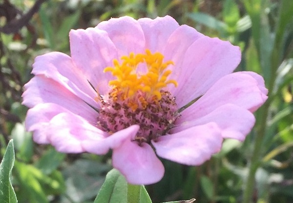 (Frequently Asked Questions) Women do not achieve arousal or orgasm nearly as easily as men…