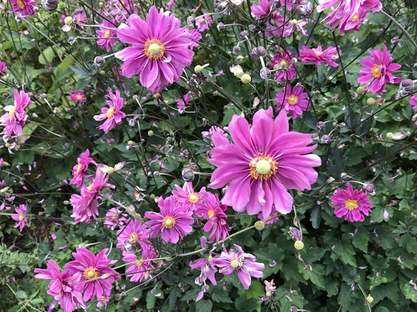 (Frequently Asked Questions) Couples, with mismatched sex drives, are advised to invest in spending quality…