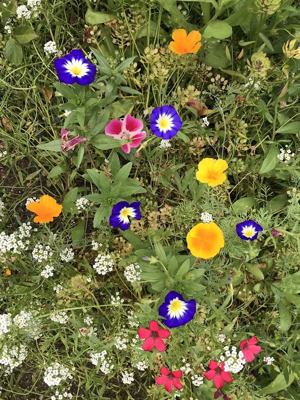 (Frequently Asked Questions) As someone who has both a clitoris and a vagina, I explain…