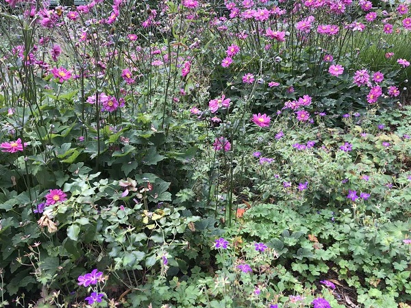 (Frequently Asked Questions) In the early days of a romance, a man invests in companionable…