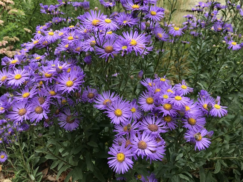 (Frequently Asked Questions) Some men try to get women drunk (or even drug them) to…