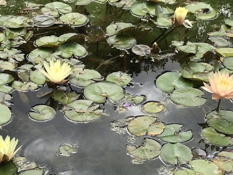 (Frequently Asked Questions) Men dislike the reduced stimulation of wearing a condom. How can women…