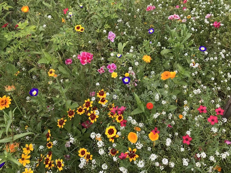 (Frequently Asked Questions) The vagina is not present in men and cannot be involved in…