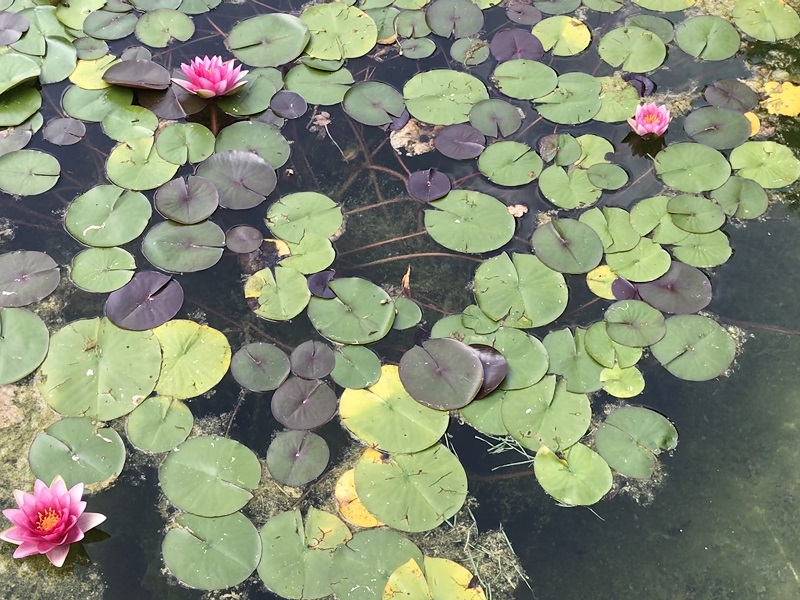 (Frequently Asked Questions) Vaginal lubrication is assumed to indicate female arousal. But there is no…