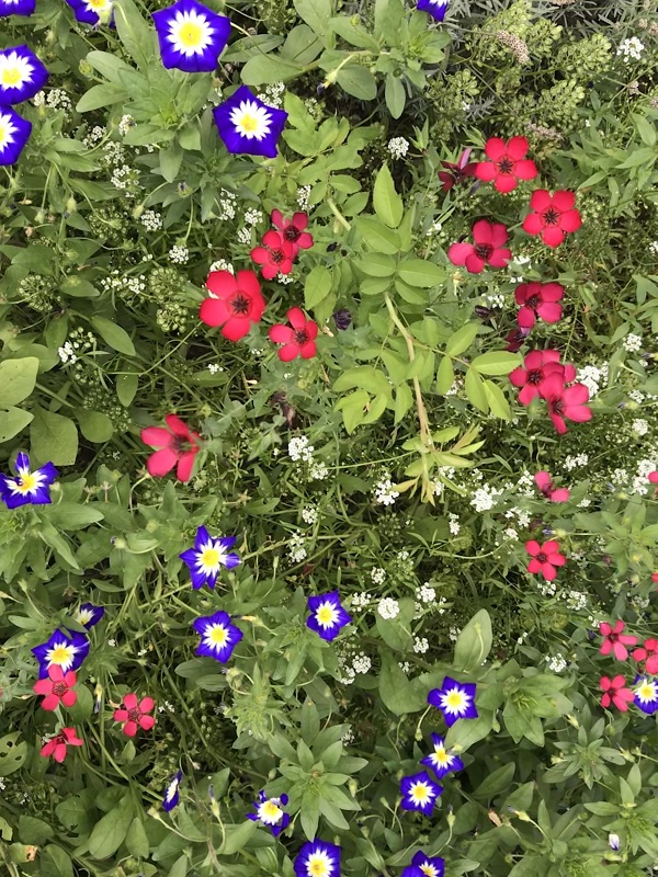 (Frequently Asked Questions) Before tampons, an intact hymen was a sign of virginity. So if…