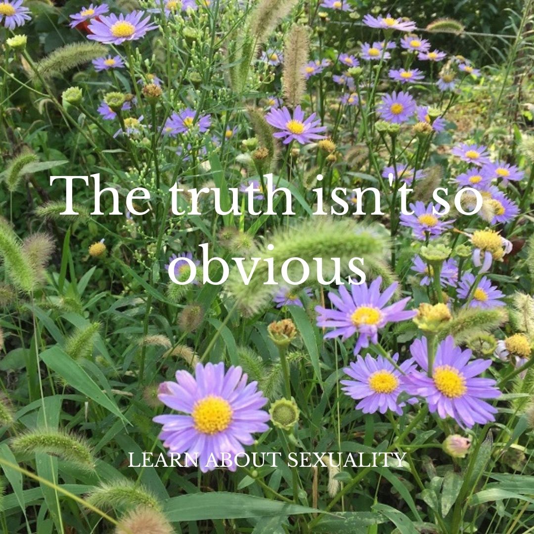 (Frequently Asked Questions) Men offer rewards for regular intercourse: support, money and affectionate companionship. Is…