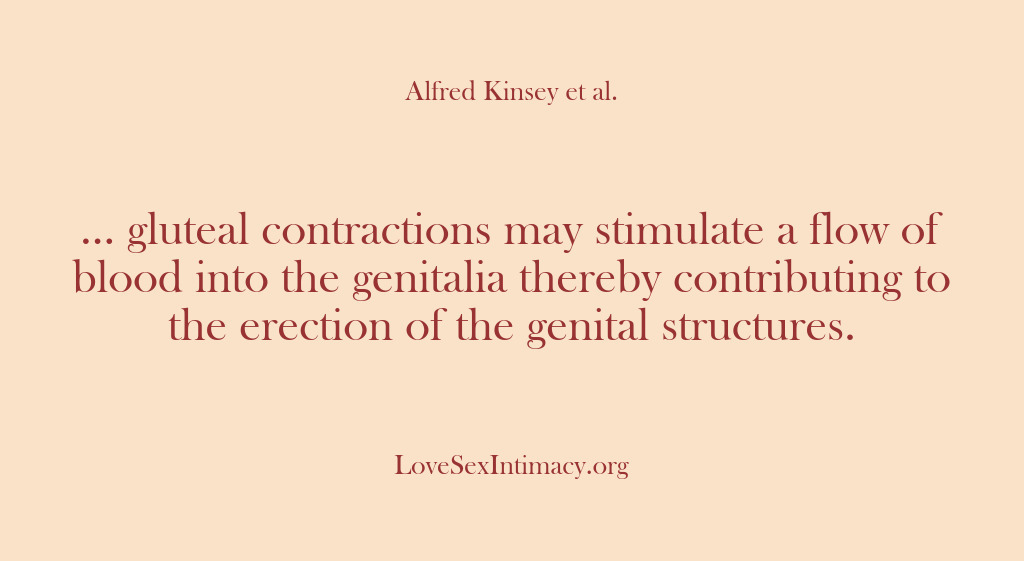 (Alfred Kinsey Female Sexuality) … gluteal contractions may stimulate a flow of blood into the genitalia…