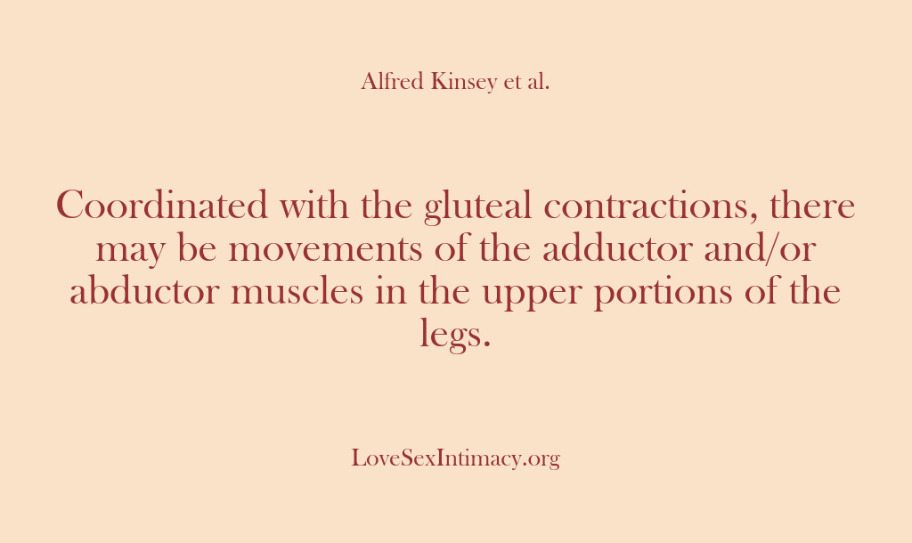 (Alfred Kinsey Female Sexuality) Coordinated with the gluteal contractions, there may be movements of the adductor…