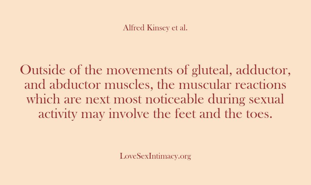 (Alfred Kinsey Female Sexuality) Outside of the movements of gluteal, adductor, and abductor muscles, the muscular…