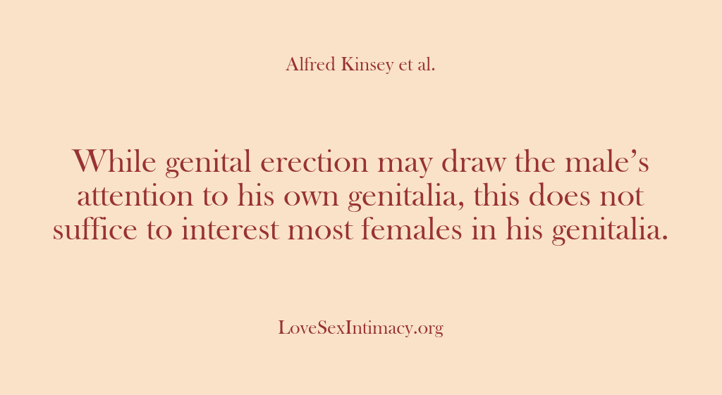 (Alfred Kinsey Female Sexuality) While genital erection may draw the male’s attention to his own genitalia,…