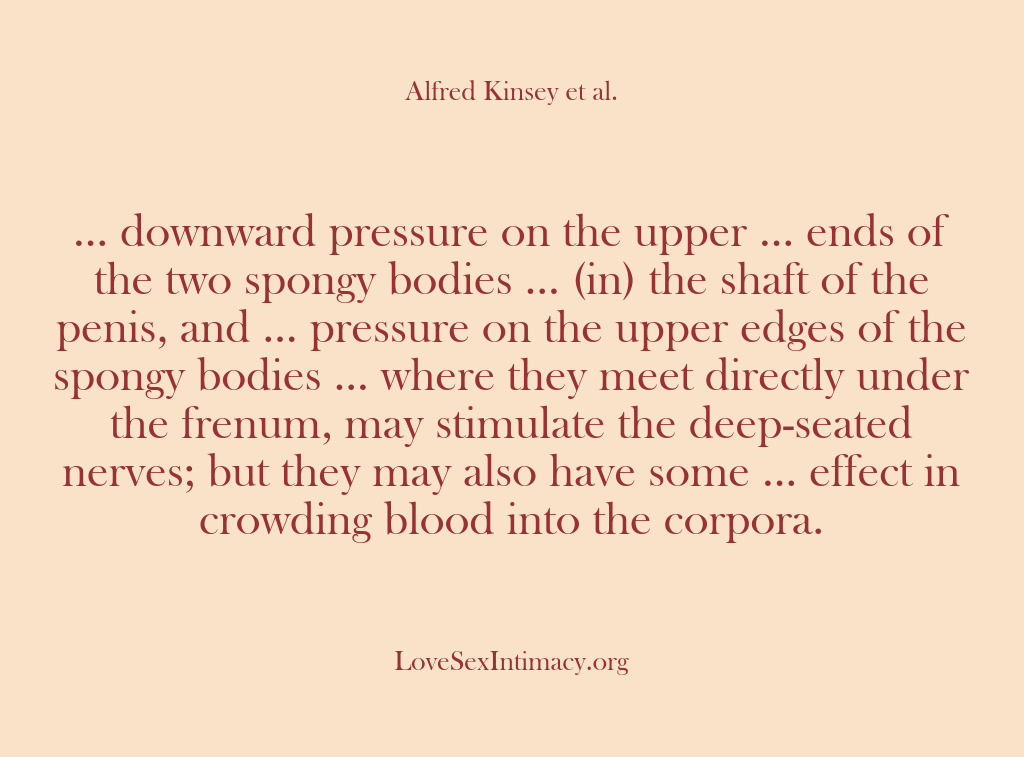 (Alfred Kinsey Female Sexuality) … downward pressure on the upper … ends of the two spongy…