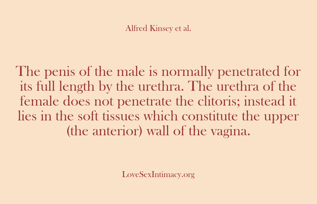 (Alfred Kinsey Female Sexuality) The penis of the male is normally penetrated for its full length…