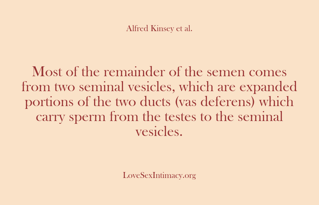 (Alfred Kinsey Female Sexuality) Most of the remainder of the semen comes from two seminal vesicles,…