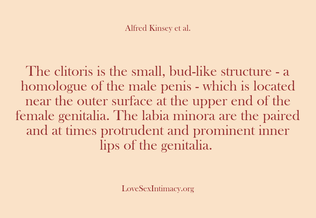 (Alfred Kinsey Female Sexuality) The clitoris is the small, bud-like structure – a homologue of the…