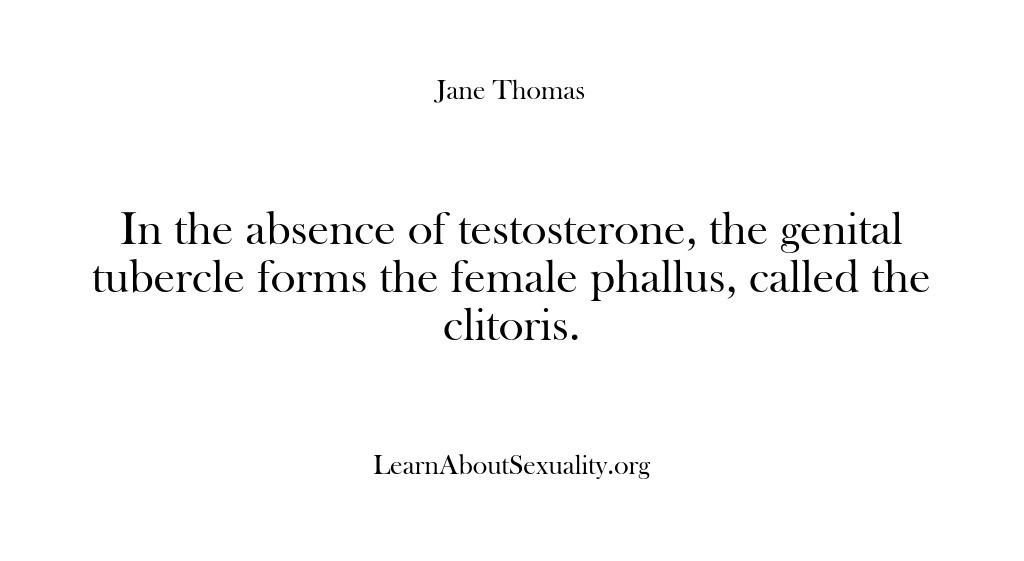 (Learn About Sexuality) In the absence of testosterone, the genital tubercle forms the female phallus,…