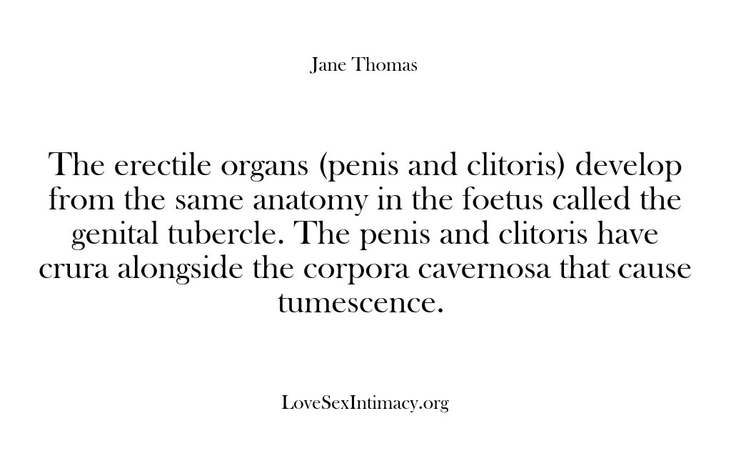 (Love Sex Intimacy) The erectile organs (penis and clitoris) develop from the same anatomy in…
