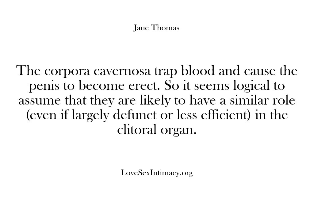 (Love Sex Intimacy) The corpora cavernosa trap blood and cause the penis to become erect….