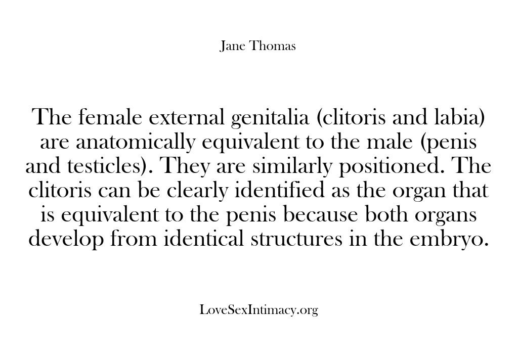 (Love Sex Intimacy) The female external genitalia (clitoris and labia) are anatomically equivalent to the…