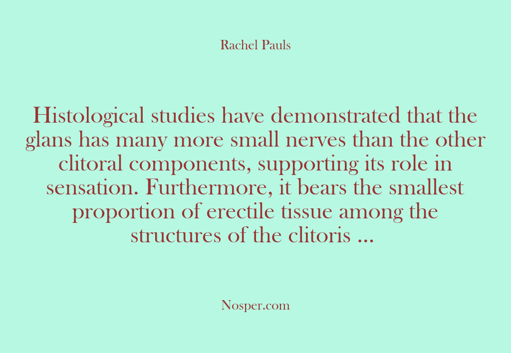 (Other Sources) Histological studies have demonstrated that the glans has many more small nerves…