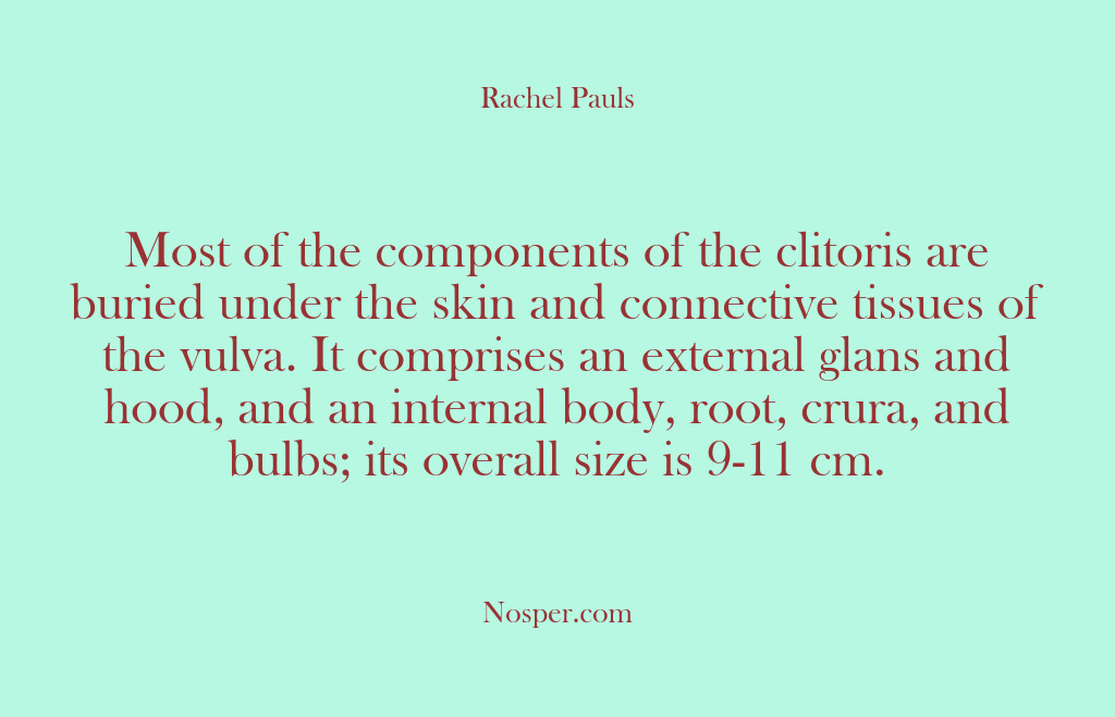 (Other Sources) Most of the components of the clitoris are buried under the skin…