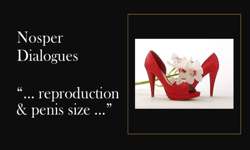 (Nosper Dialogues) Reproduction & penis size …