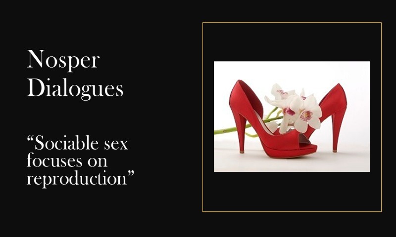(Nosper Dialogues) Sociable sex focuses on reproduction
